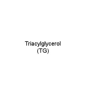 Triacylglycerol (TG)